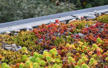 the cost of Wollescote green roof installation